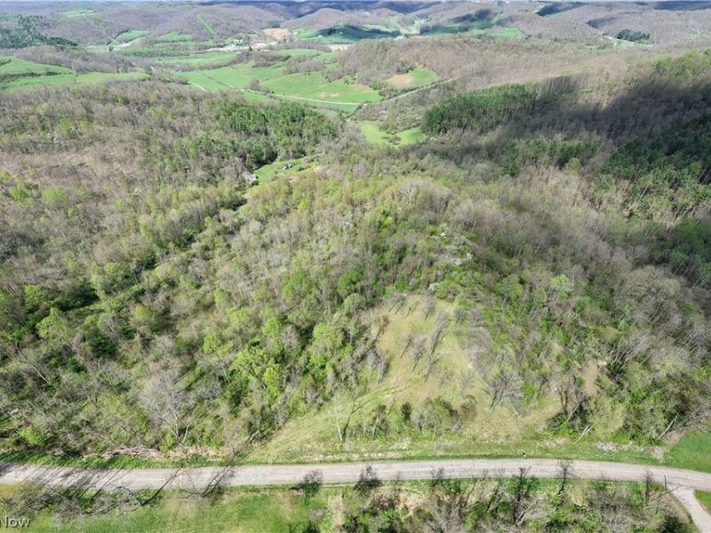 Deersville Ridge Road, Cadiz, OH 43907 Photo 25