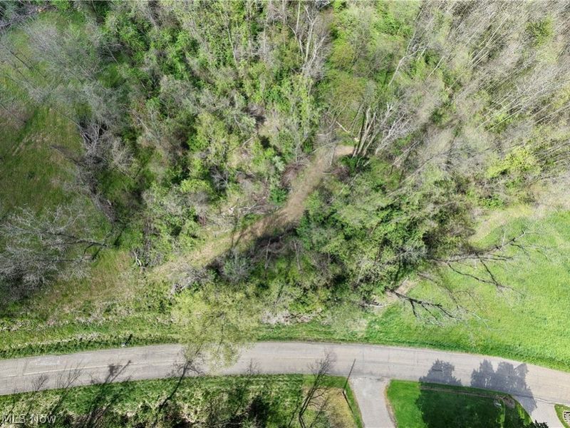 Deersville Ridge Road, Cadiz, OH 43907 Photo 26