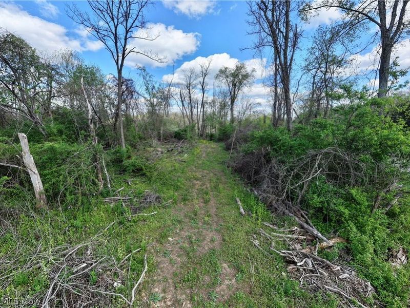 Deersville Ridge Road, Cadiz, OH 43907 Photo 27