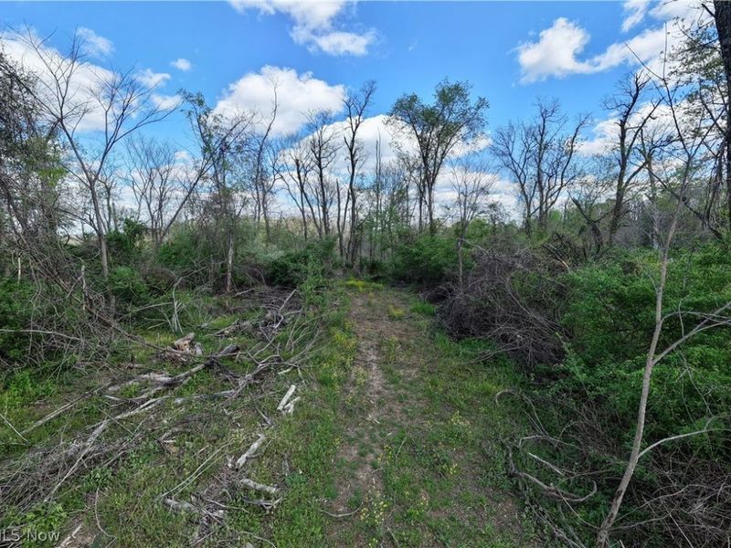 Deersville Ridge Road, Cadiz, OH 43907 Photo 28