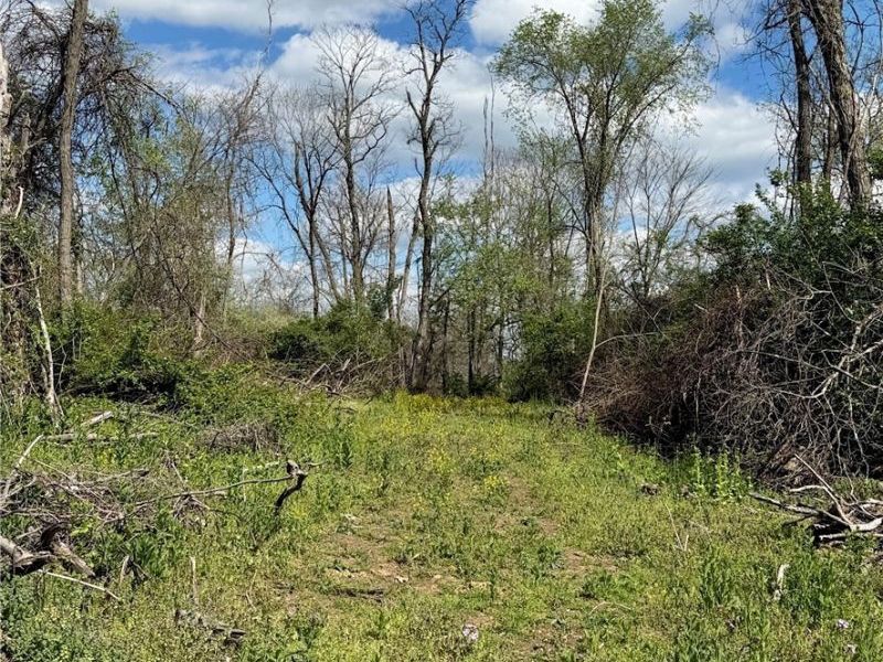 Deersville Ridge Road, Cadiz, OH 43907 Photo 29