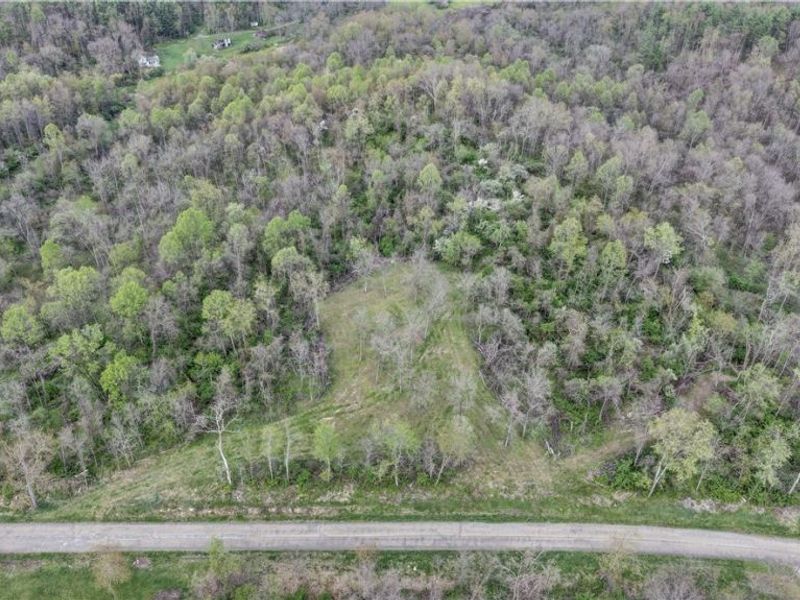 Deersville Ridge Road, Cadiz, OH 43907 Photo 3