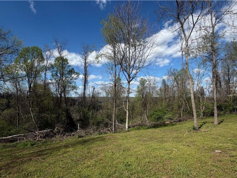 Deersville Ridge Road, Cadiz, OH 43907 Photo 30