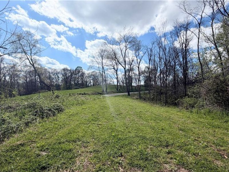 Deersville Ridge Road, Cadiz, OH 43907 Photo 31