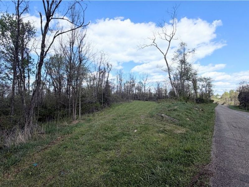 Deersville Ridge Road, Cadiz, OH 43907 Photo 32