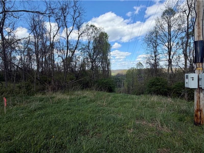 Deersville Ridge Road, Cadiz, OH 43907 Photo 33