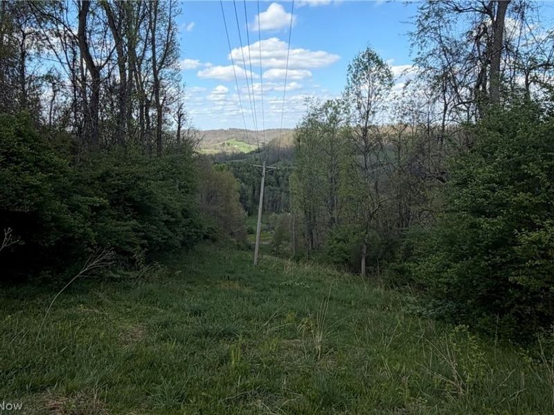 Deersville Ridge Road, Cadiz, OH 43907 Photo 34