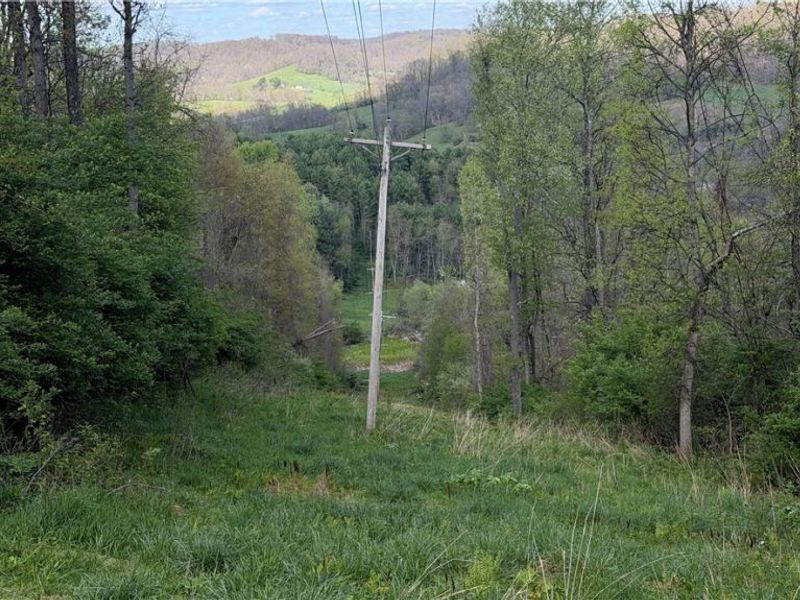 Deersville Ridge Road, Cadiz, OH 43907 Photo 35