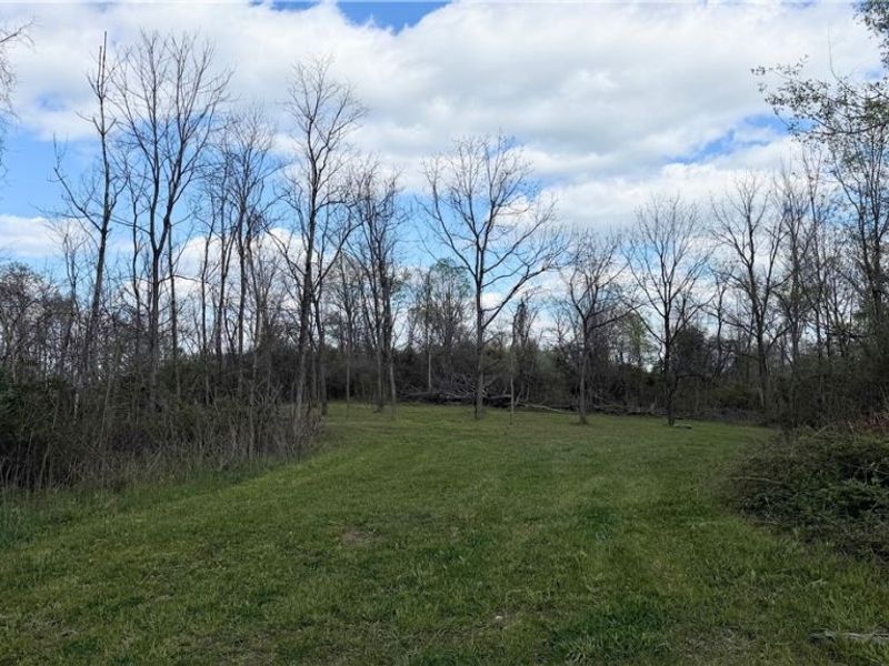 Deersville Ridge Road, Cadiz, OH 43907 Photo 37