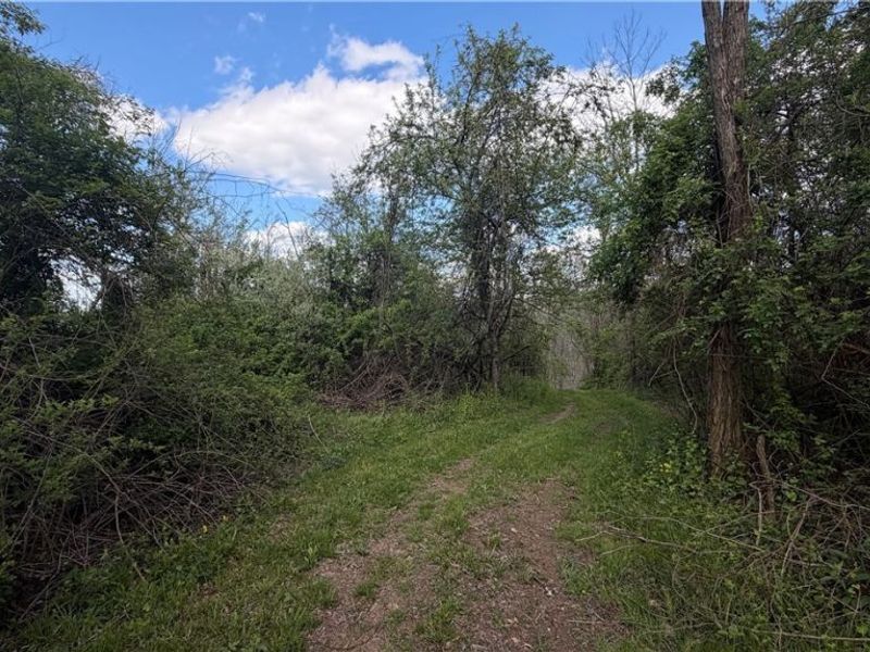 Deersville Ridge Road, Cadiz, OH 43907 Photo 38