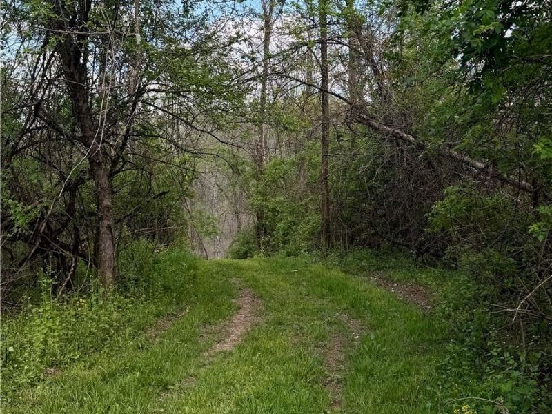 Deersville Ridge Road, Cadiz, OH 43907 Photo 39