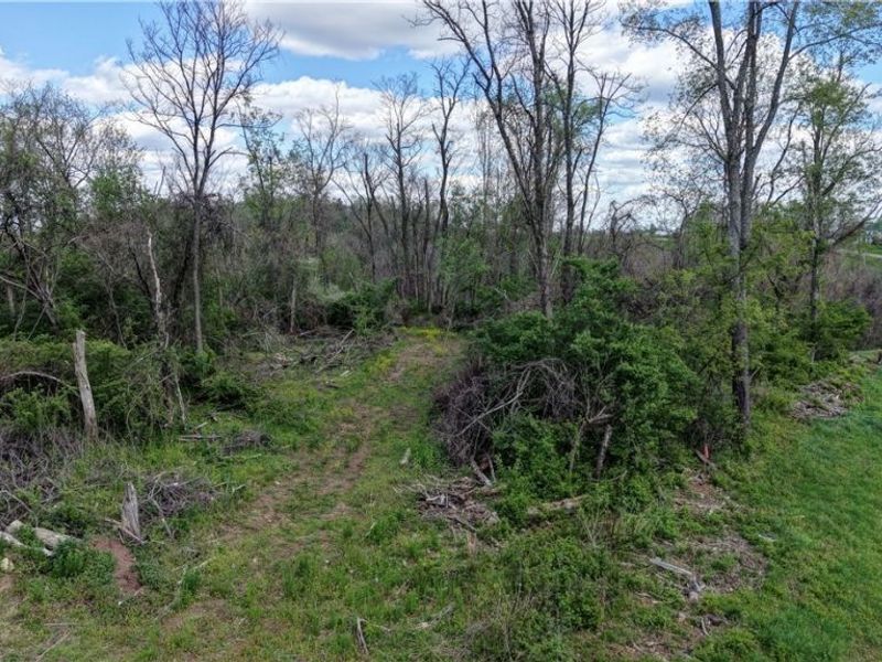 Deersville Ridge Road, Cadiz, OH 43907 Photo 4