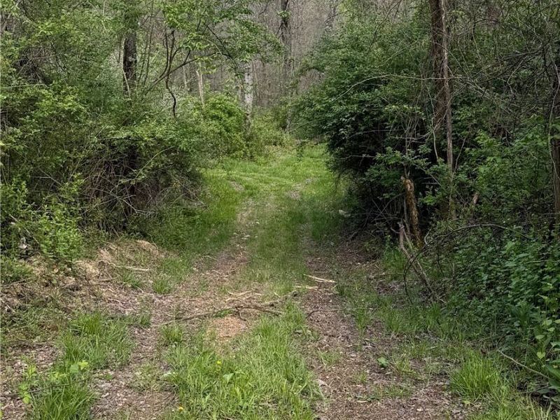 Deersville Ridge Road, Cadiz, OH 43907 Photo 40