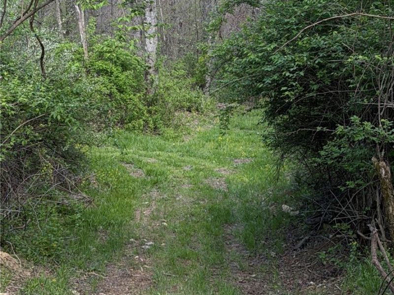 Deersville Ridge Road, Cadiz, OH 43907 Photo 41