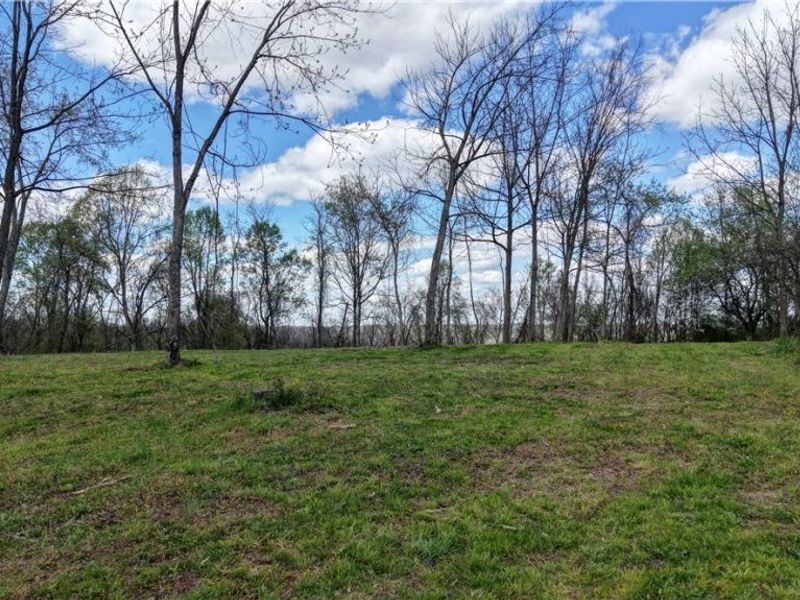 Deersville Ridge Road, Cadiz, OH 43907 Photo 6