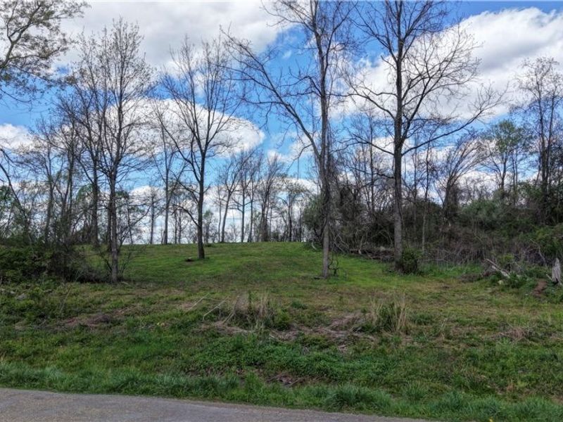 Deersville Ridge Road, Cadiz, OH 43907 Photo 8