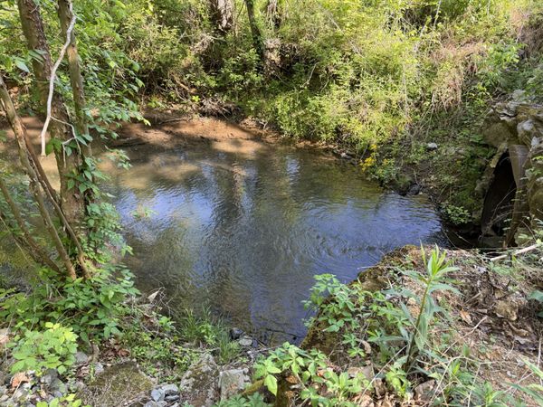 5073 Jones Valley Rd , Williamsport, TN 38487