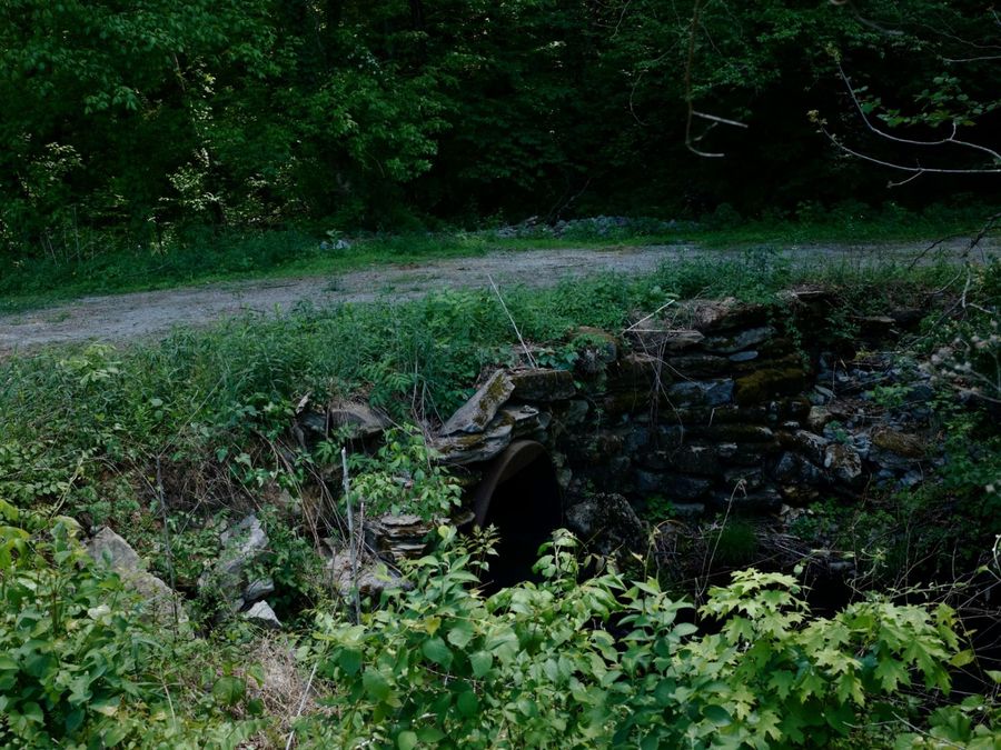 Property Image 48
