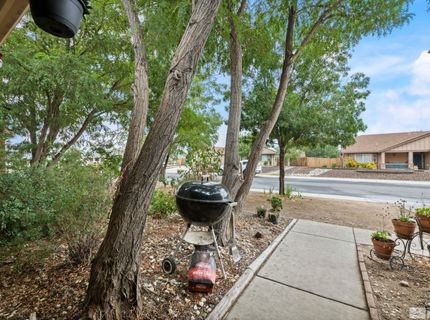 859 Klien Street, Dayton, NV 89403 Photo