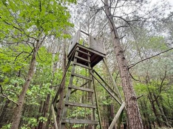 TAYLORS ISLAND , WOOLFORD, MD 21677