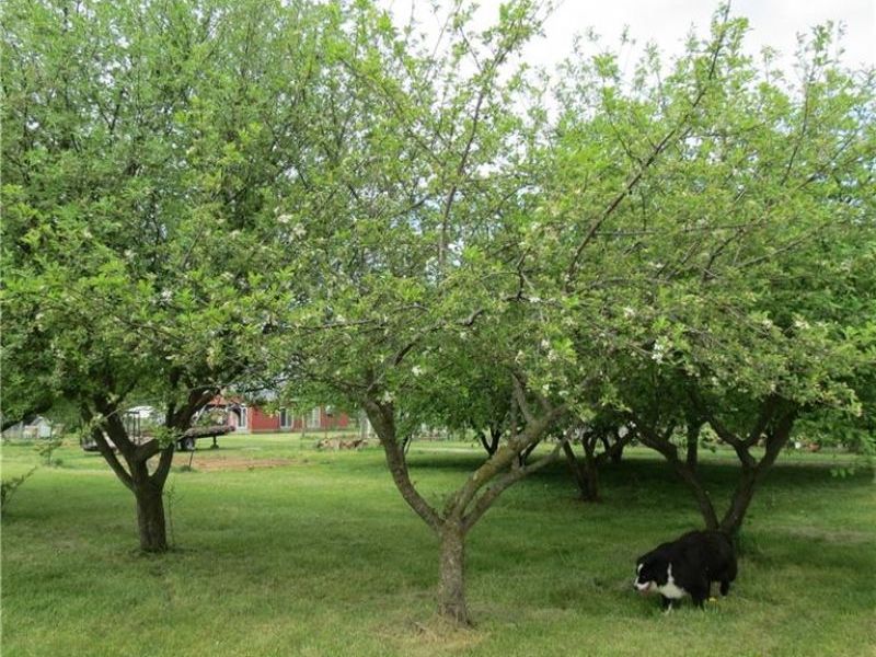 4367 State Route 29, Sidney, OH 45365 Photo 27