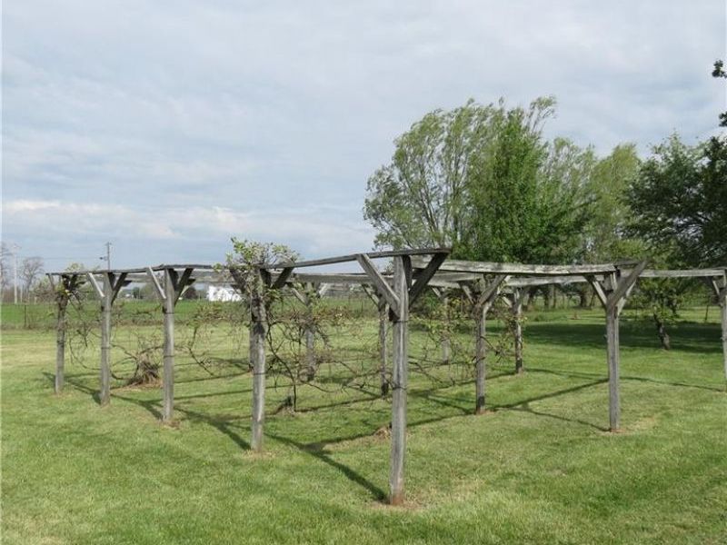 4367 State Route 29, Sidney, OH 45365 Photo 34