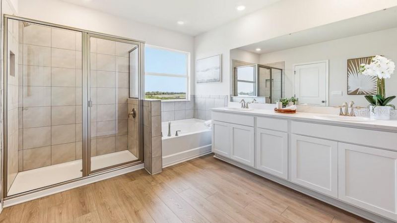 4306 Silver Birch Court, Palmetto, FL 34221 Photo