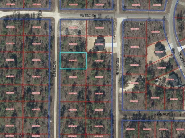 TBD NE 15OTH COURT , WILLISTON, FL 32696