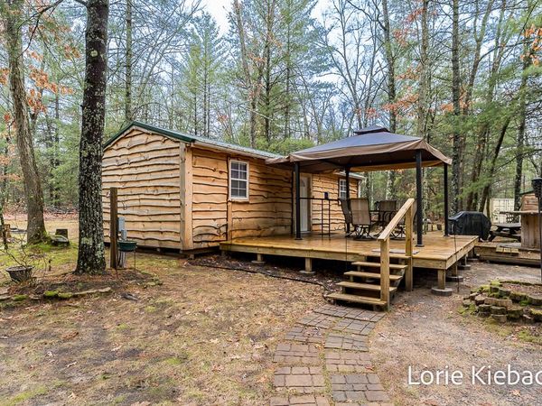 3710 E US 10, Chase, MI 49623