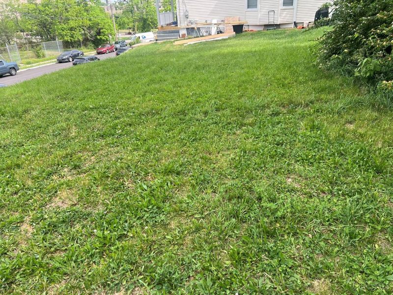 3622 Idlewild Avenue, Cincinnati, OH 45207 Photo 2