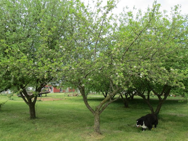 4367 St Rt 29 , Sidney, OH 45365 Photo 27