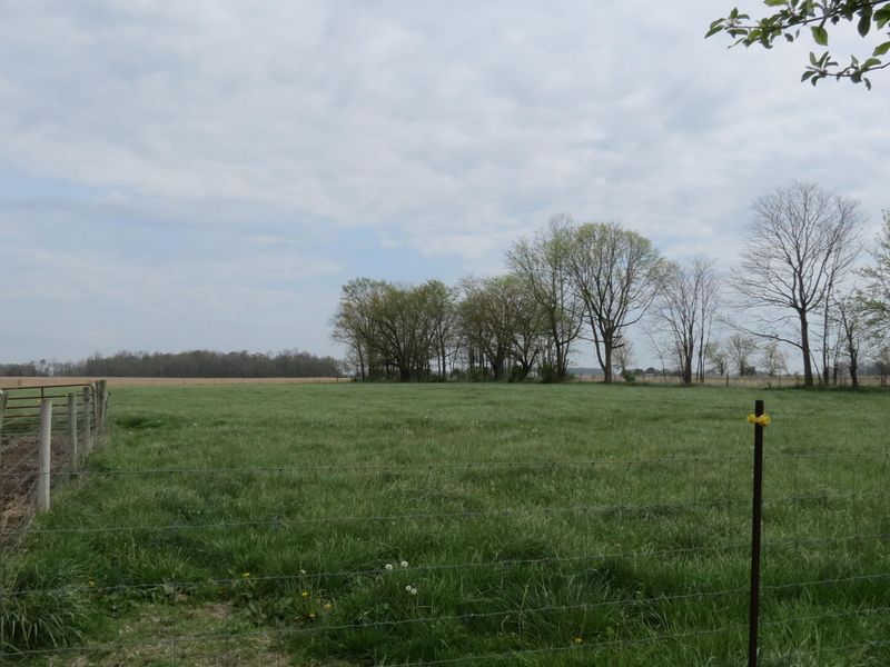 4367 St Rt 29 , Sidney, OH 45365 Photo 28