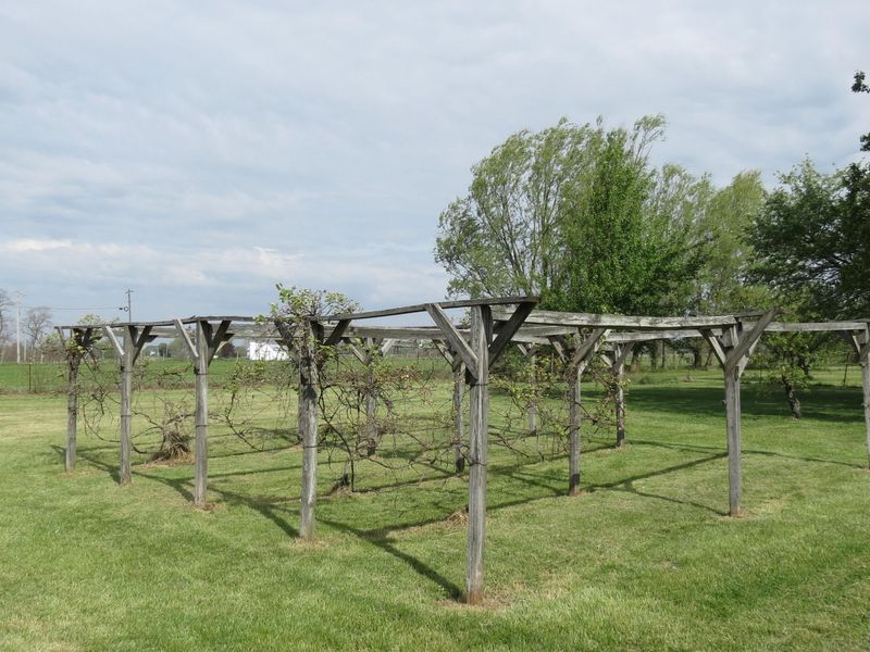 4367 St Rt 29 , Sidney, OH 45365 Photo 34