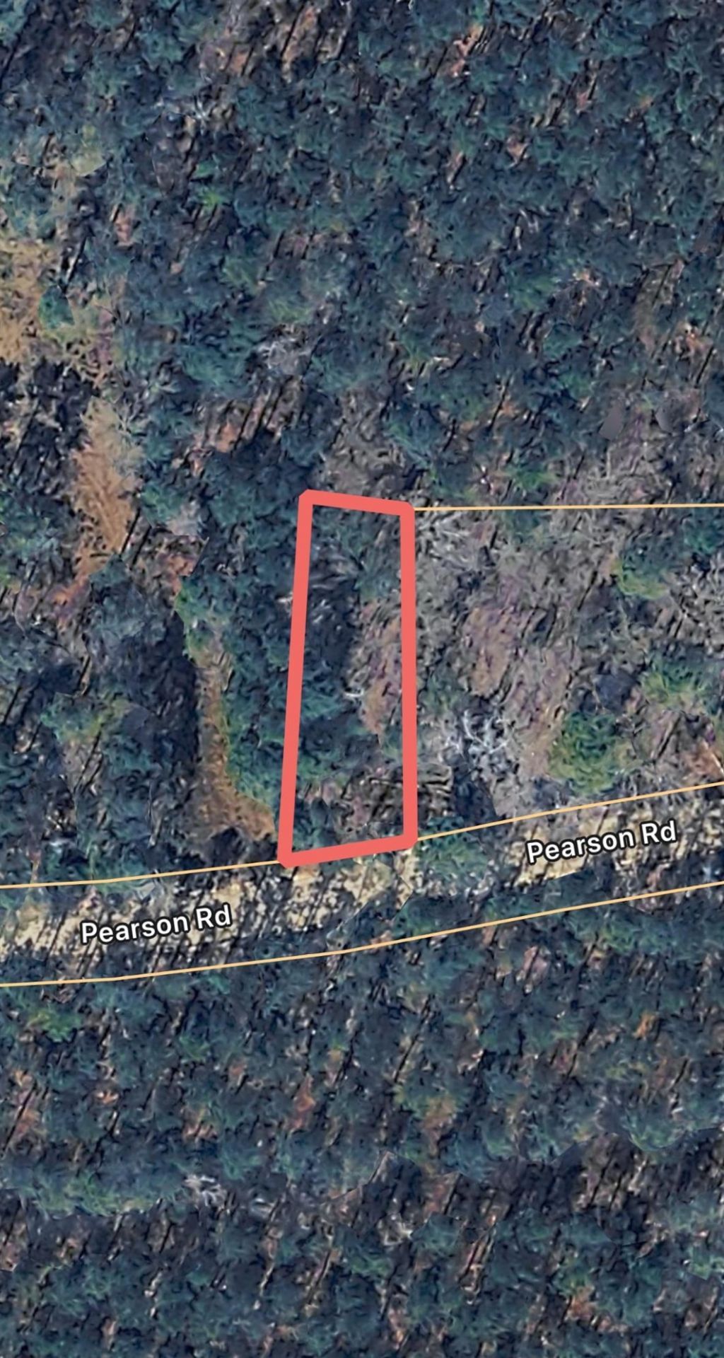 Tbd Pearson Rd., Manning, SC 29102 Main Photo