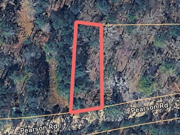 TBD Pearson Rd., Manning, SC 29102