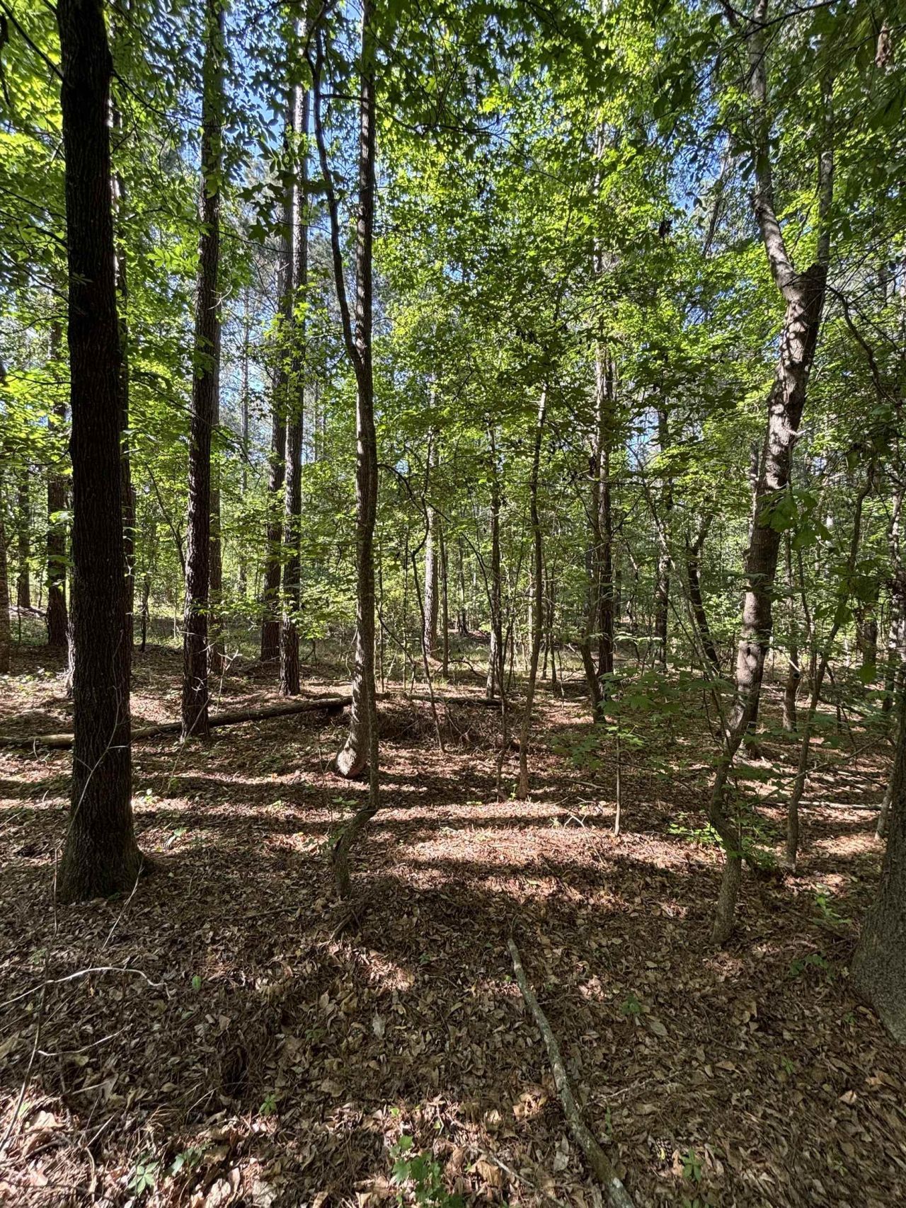 Tbd Pearson Rd. Photo 3