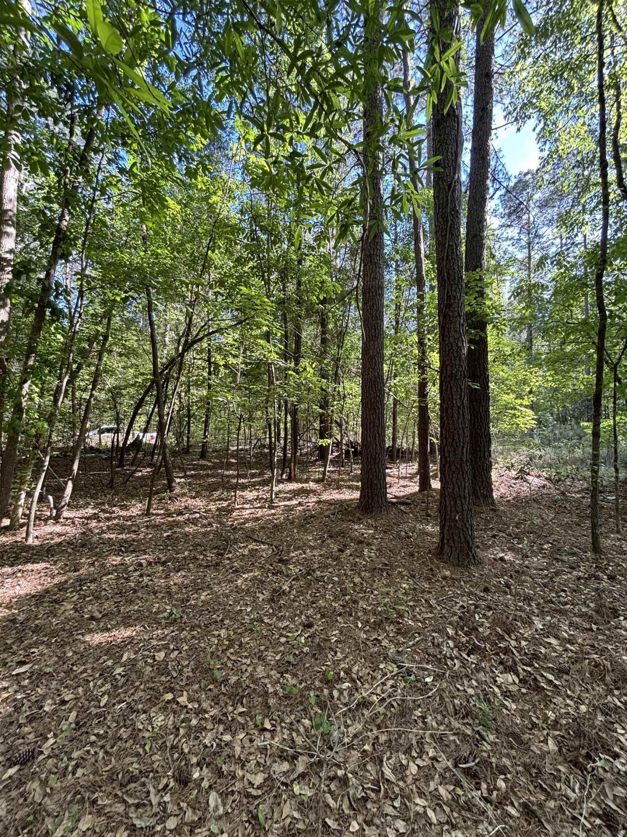 Tbd Pearson Rd. Photo 4