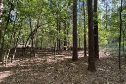 Tbd Pearson Rd. photo 4