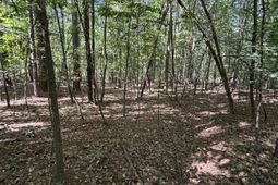 Tbd Pearson Rd. photo 4