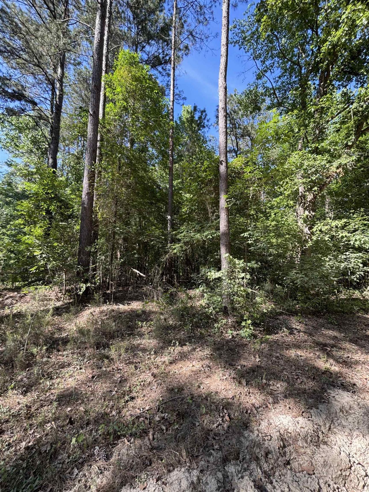 Tbd Pearson Rd. Photo 6