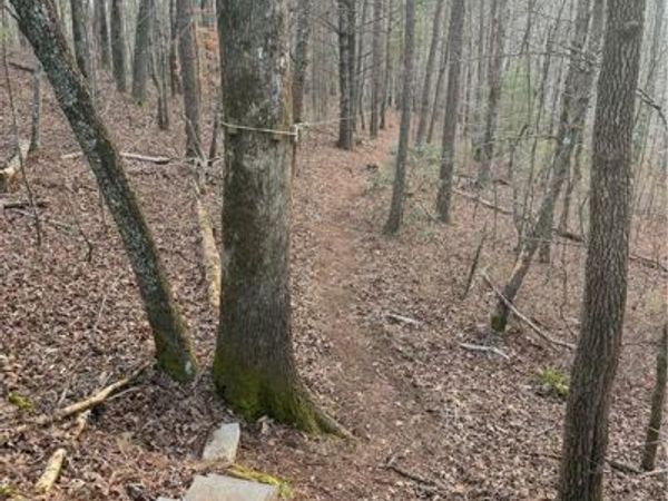 0 Shady Grove Church Road , Talking Rock, GA 30175