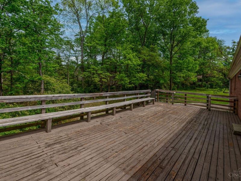 6248 Margo Lane, Madeira, OH 45227 Photo 10