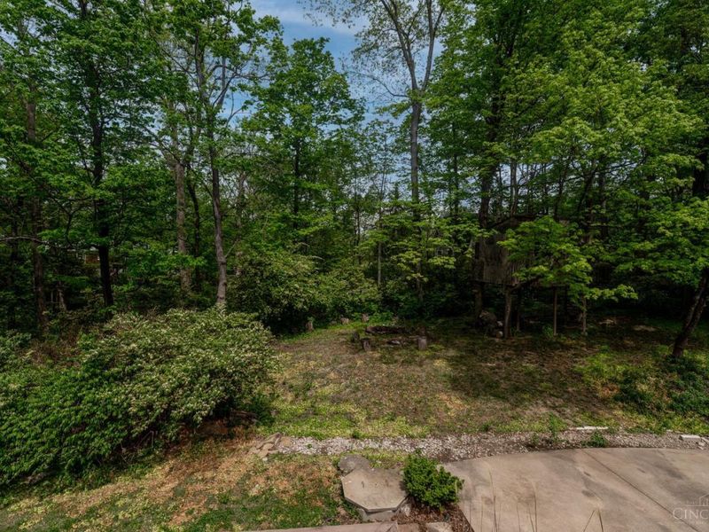 6248 Margo Lane, Madeira, OH 45227 Photo 11