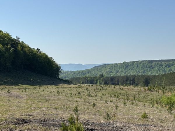 866 Bowater Rd, Pikeville, TN 37367