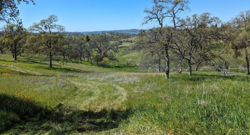 931 Arbolada, La Grange, CA 95329 Photo