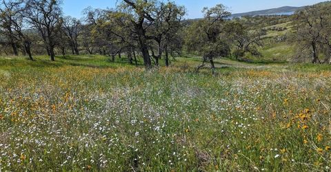 931 Arbolada, La Grange, CA 95329 Photo