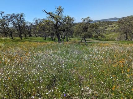 931 Arbolada, La Grange, CA 95329 Photo