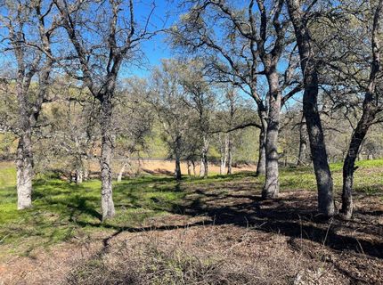 931 Arbolada, La Grange, CA 95329 Photo