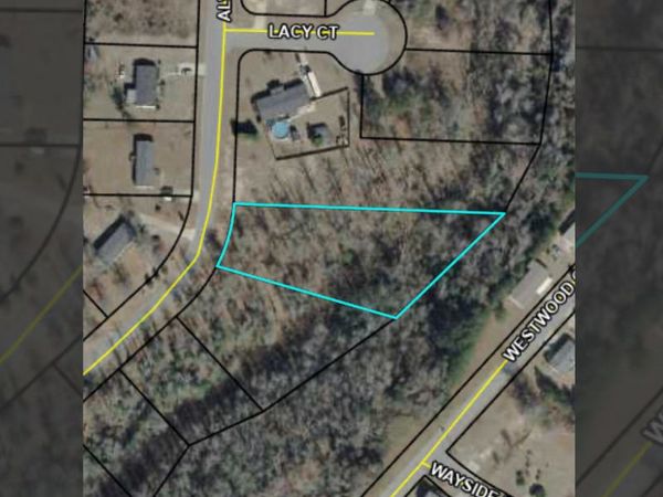 234 Alview Drive, Macon, GA 31206