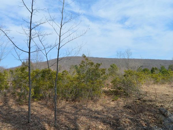 Lots 1 & 2 Grosbeak Drive, Terra Alta, WV 26764